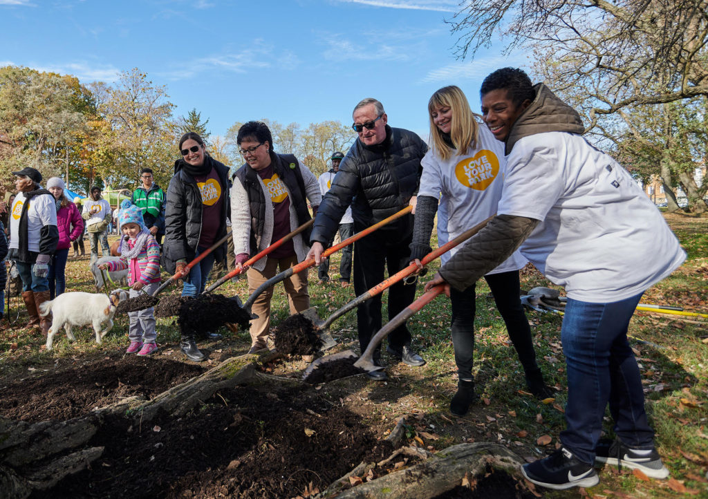 City officials plant a tree in the park 