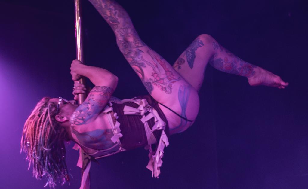 Exotic dancer on pole