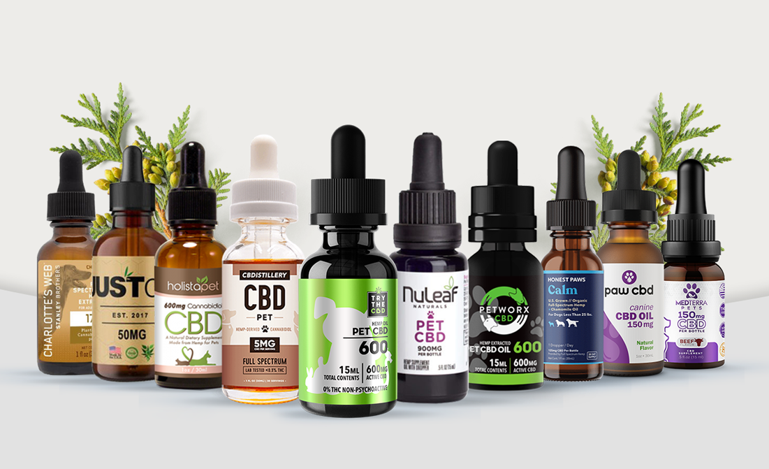 best calming cbd oil for dogs for Sale OFF 76%