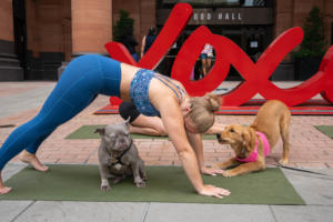 Puppy Yoga