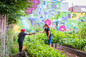 People gardening outdoors