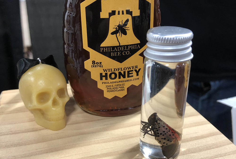Spotted Lanternfly Honey From Philadelphia Bee Company