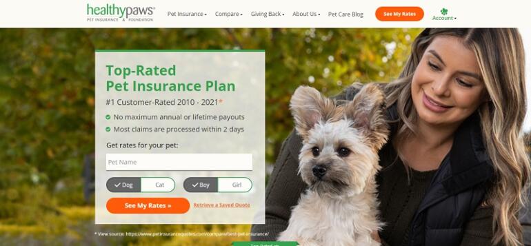 Best Pet Insurance In Pa