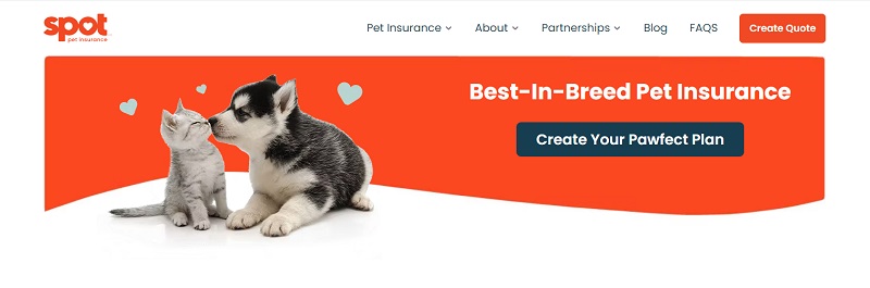Best Pet Insurance in Pennsylvania 2022: Comparison and Review of Top Rated Companies in Pa Cities like Philadelphia, Pittsburgh, and Allentown