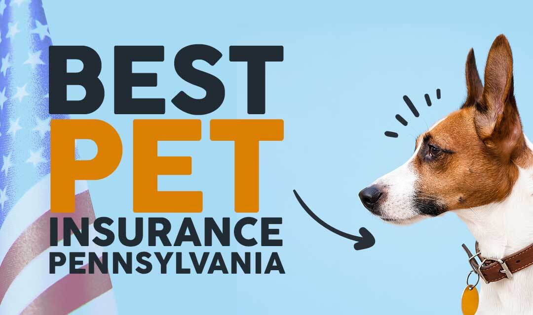 which pet insurance is best for dogs