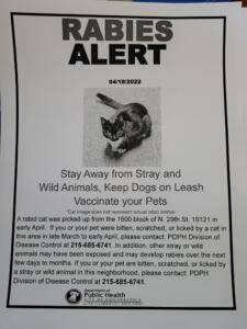 A flier that says RABIES ALERT at the top with a picture of a cat and information on how to contact the Health Department that's included in the article.