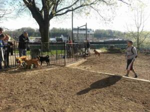 Pretzel Park - Best Dog Park in Manayunk 