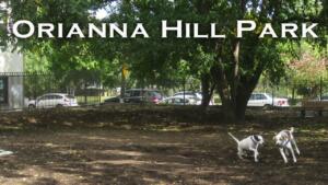 Orianna Hill Park - Best Dog Park in Northern Liberties