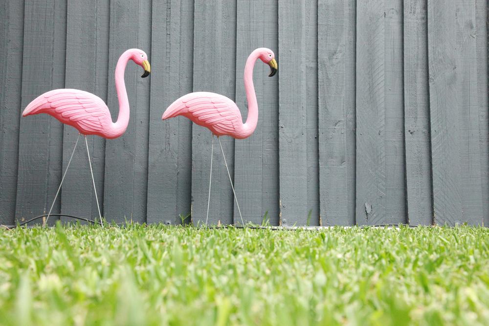 plastic lawn flamingos