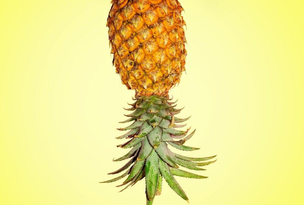 upside down pineapple