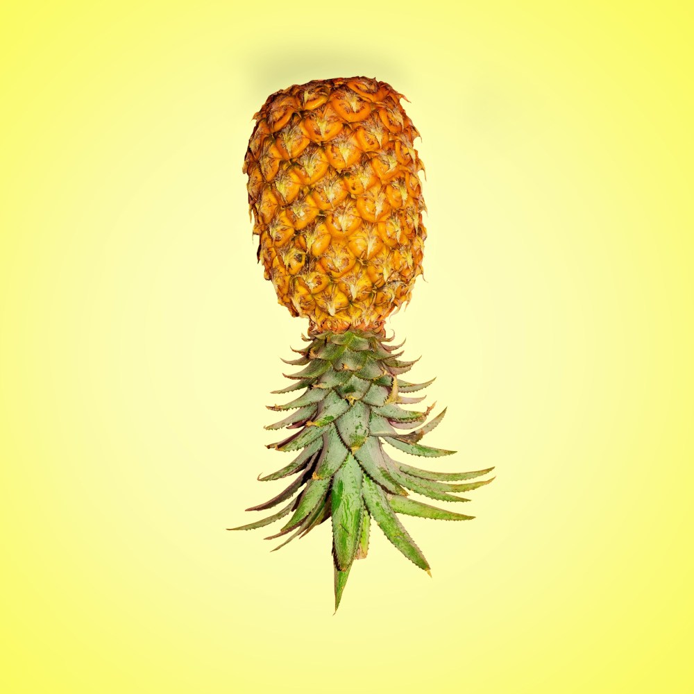 Why is a pineapple used for swinging?