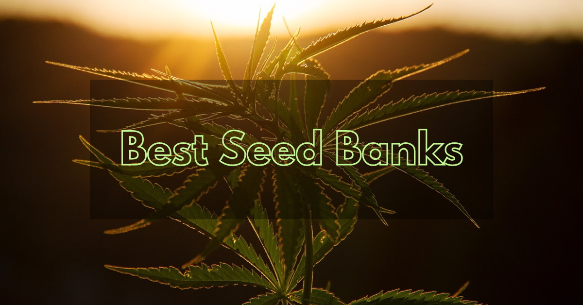 Seed Banks