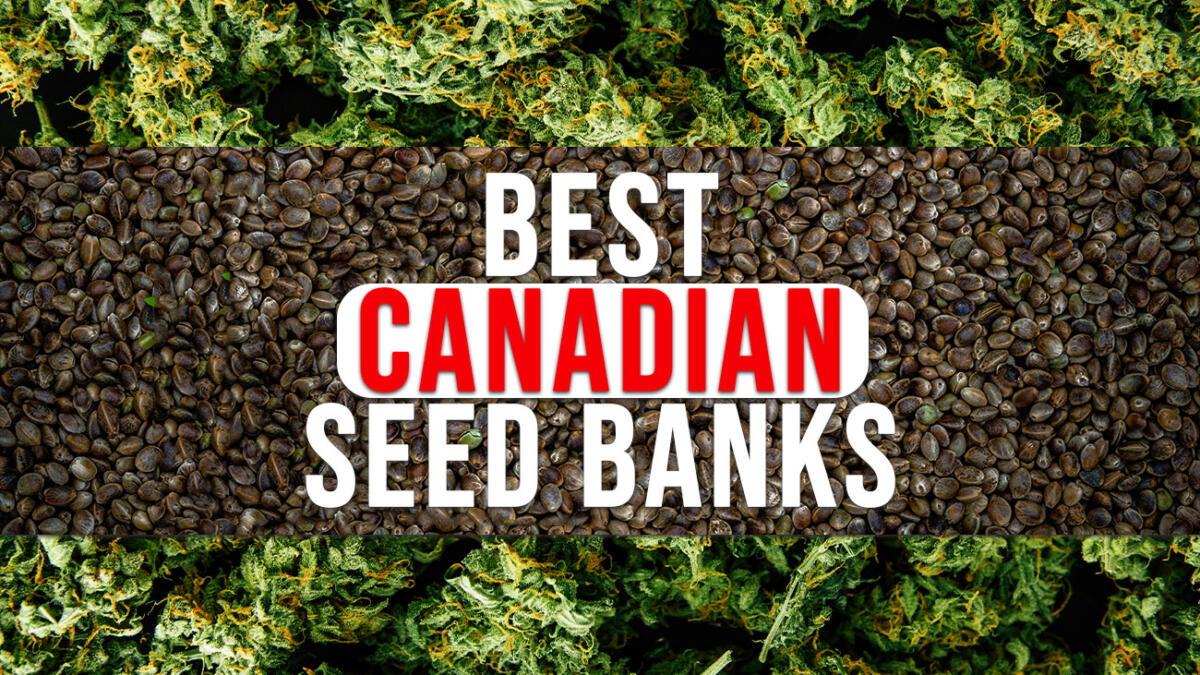 Best canadian seed banks