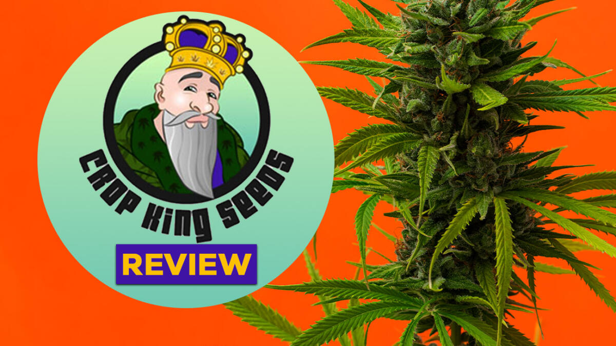 Crop king seeds review