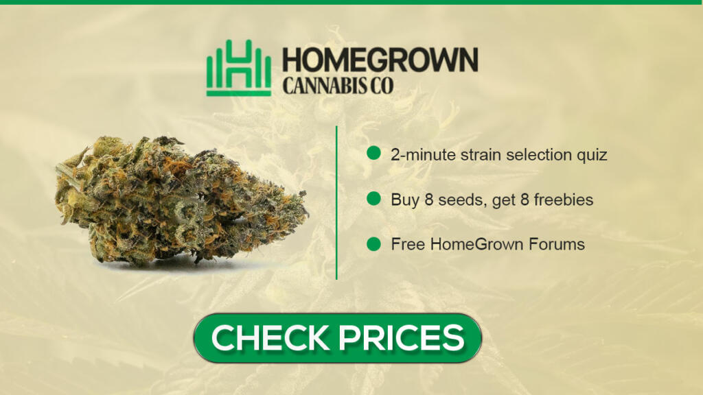 Homegrow Cannabis Co