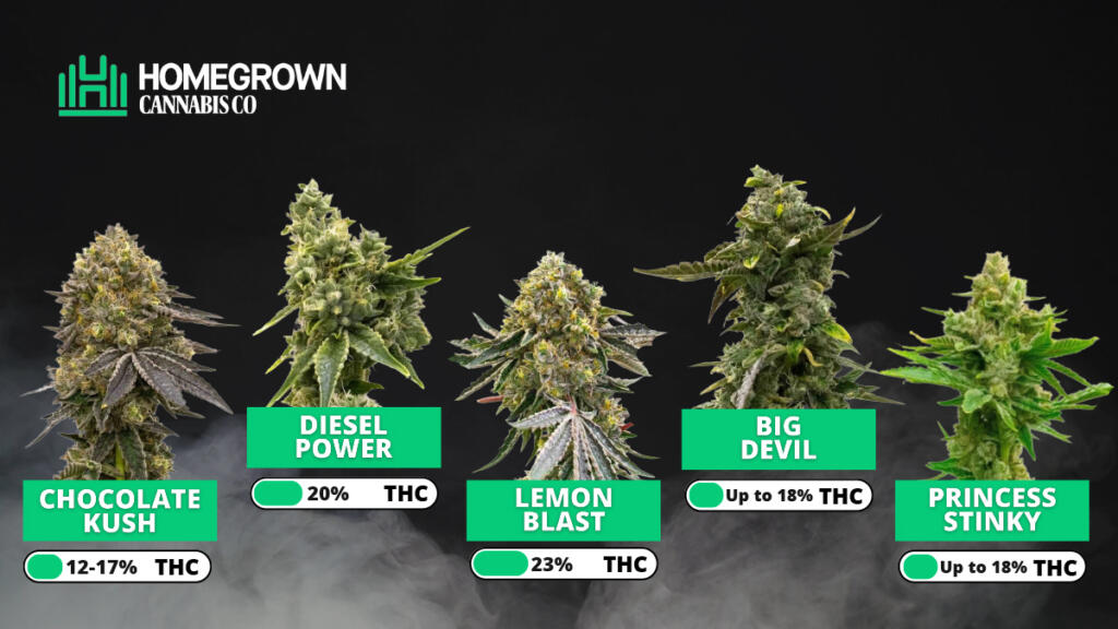 Homegrown Cannabis Popular Products