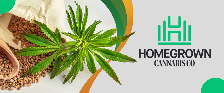 Homegrown Cannabis