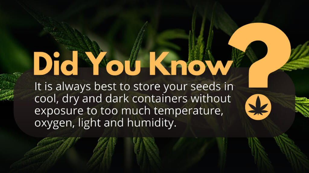 How Germinate Weed Seeds