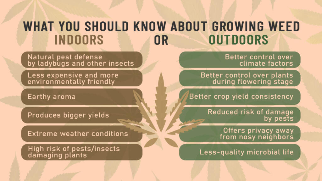 How to Grow Weed indoors or outdoors