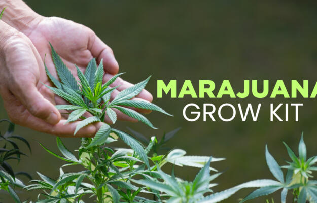 Marajuana Grow Kit