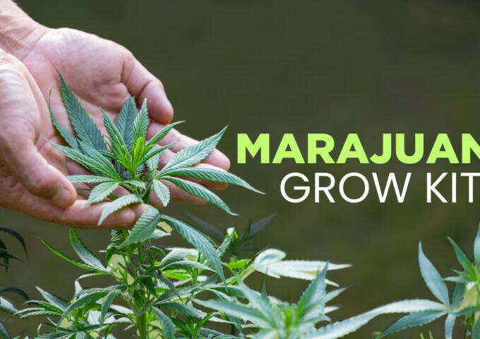 Marajuana Grow Kit