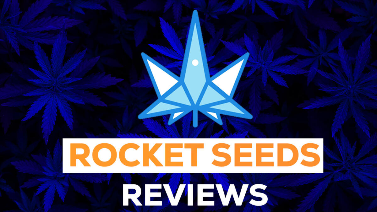 Rocket Seeds Reviews