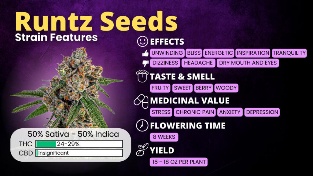Runtz Seeds Strain 