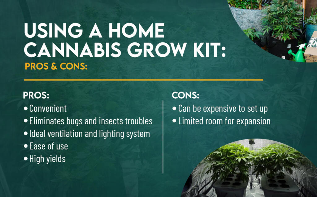 Should you use a home cannabis grow kit