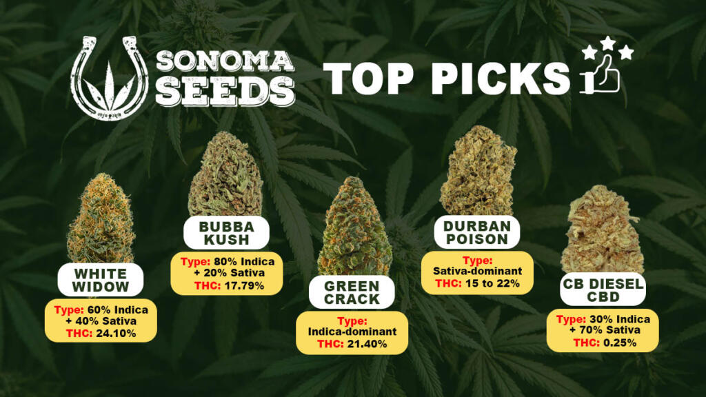 Sonoma Seeds Top Picks