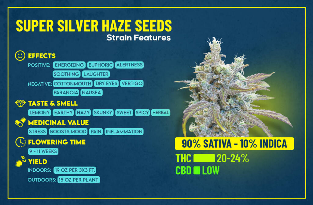 Super Silver Haze Seeds