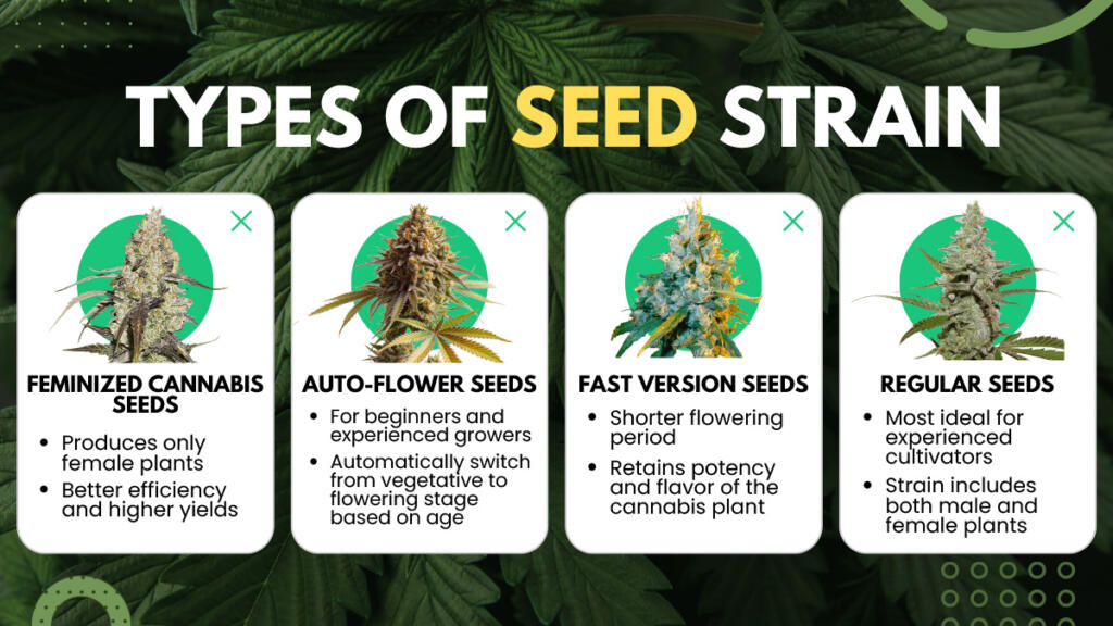 Types of Seed Strain