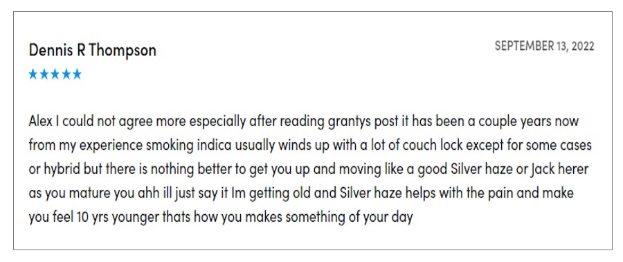 super silver haze review1