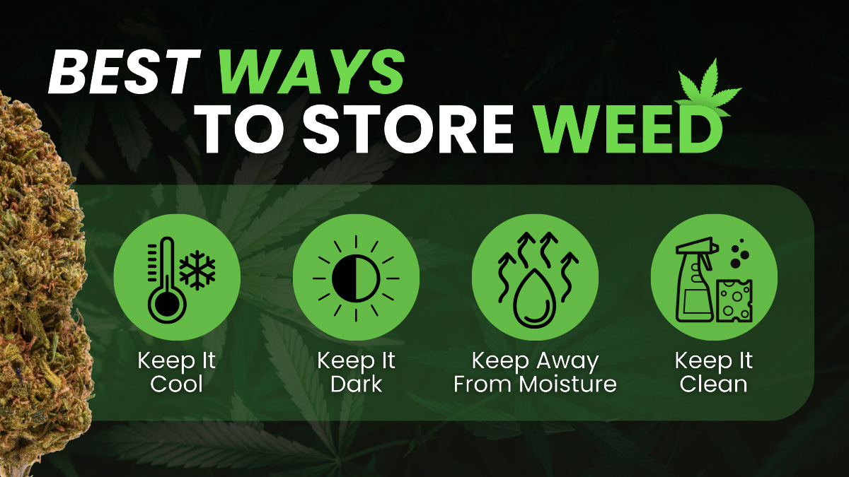 Best Way to Store Weed Cannabis Storage Tips to Keep it Fresh & Potent