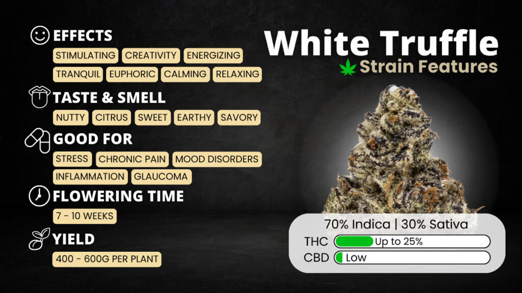 White Truffle Strain Features