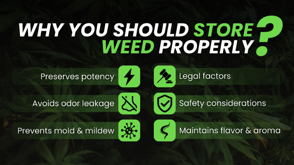 Best Way to Store Weed Cannabis Storage Tips to Keep it Fresh & Potent