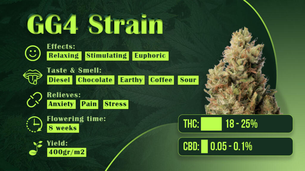 GG4 strain features