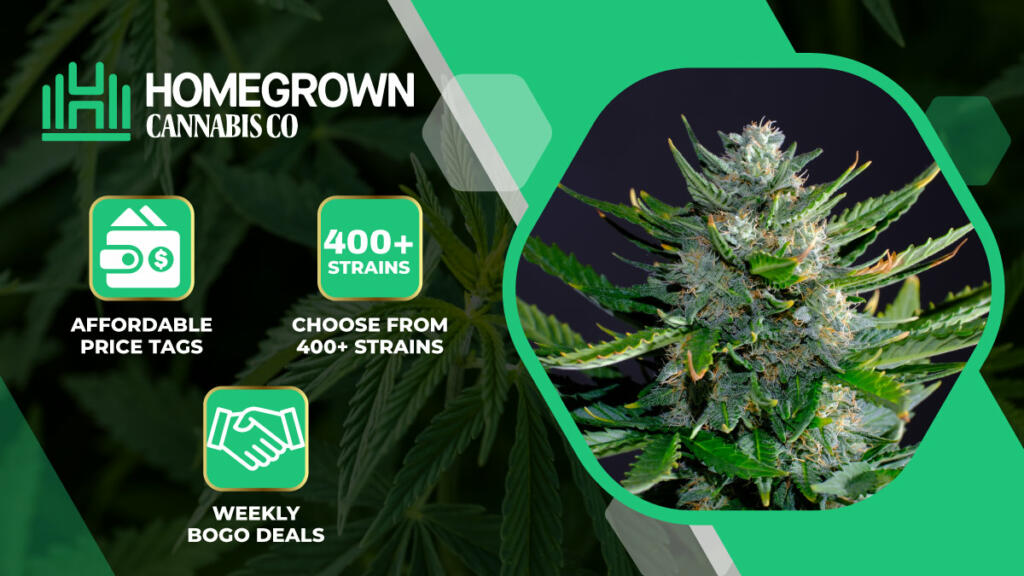 Homegrown Cannabis Co