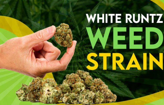 White-Runtz-Weed-Strain